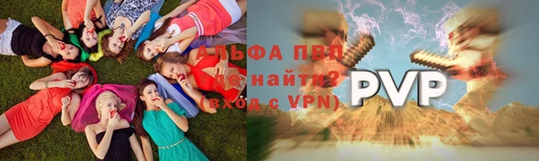 тгк Бородино