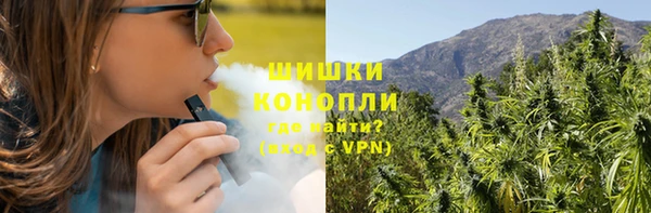 тгк Богородицк