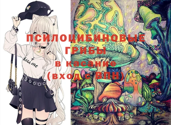 дживик Богородск